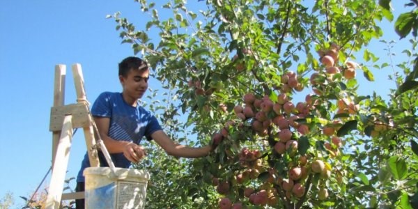 Meyve üreticileri erken uyarı sistemi istiyor