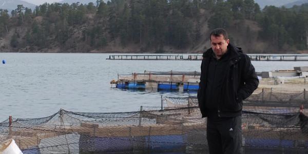 Fabrikanın atığı yüzbinlerce balığı telef etti