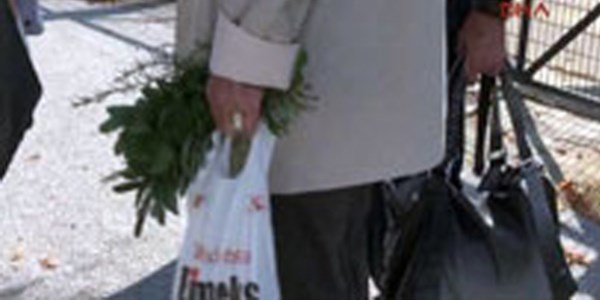 90 yıllık anı; Ebegümeci