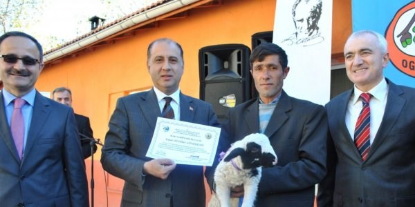 Koyun al�p keklik sald�lar