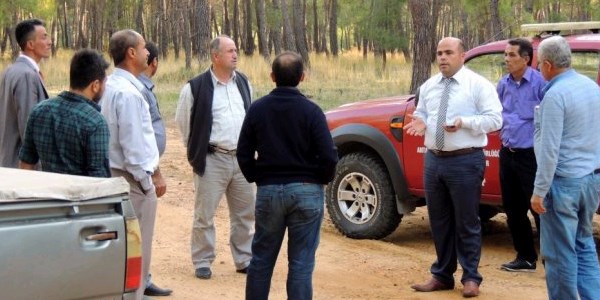 Antalya'da ağaç kesimi tepkisi