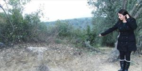 Zeytinlikte lahit mezar� bulundu
