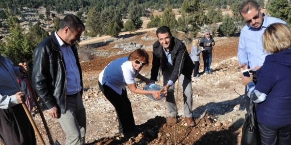 Mersin'de ceviz fidanından hatıra ormanı