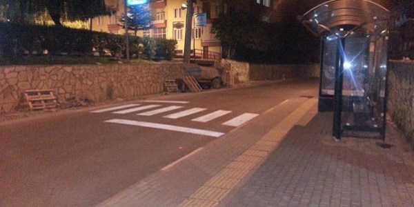 Şaka gibi yaya geçidi