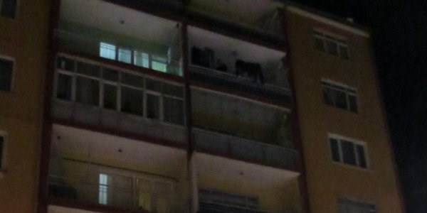 Ocakta unutulan yemek yangına neden oldu