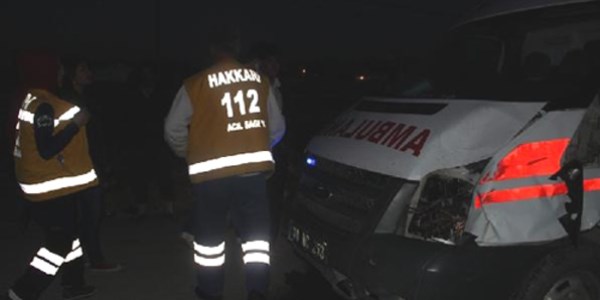 Ambulans ineğe çarptı