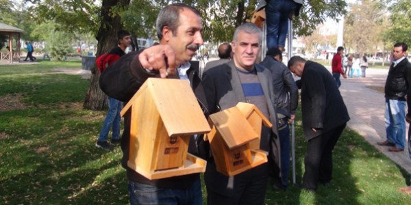 Parktaki kuşlar 'ev'lendi