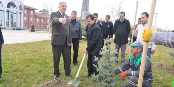 "137 bin şehide 137 bin fidan"