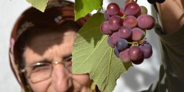 Kas�m ay�nda �z�m verdi