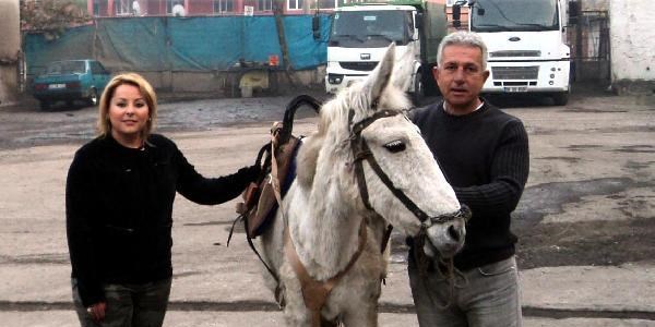 Çöp toplayan katırlara iyileştirme