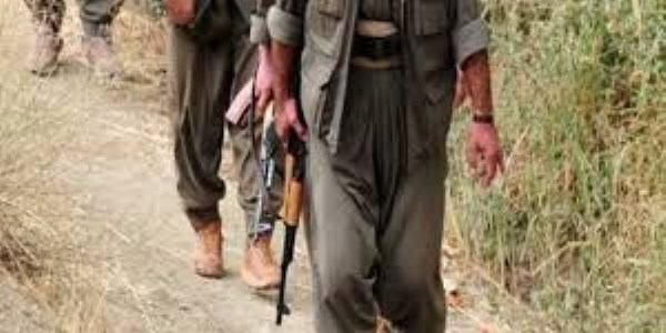 Hakkari'de 1 Pkk'lı yakalandı