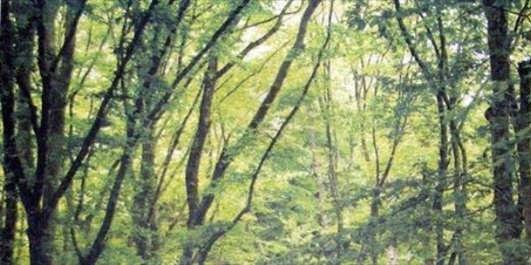 Askeri personelden öğretmenlere anlamlı hediye