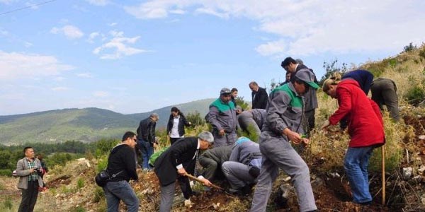 Milas Toplum Sa�l��� Merkezi'den Koah orman�