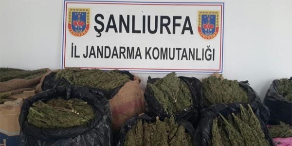 �anl�urfa'da 122 kilo esrar maddesi ele ge�irildi