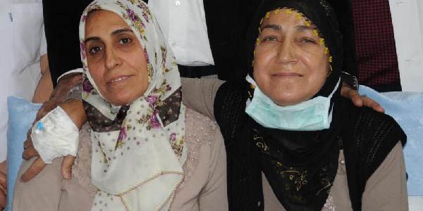 B�bre�ini kumas�na verdi