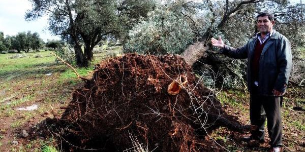 Bodrum'un k�ylerini hortum vurdu