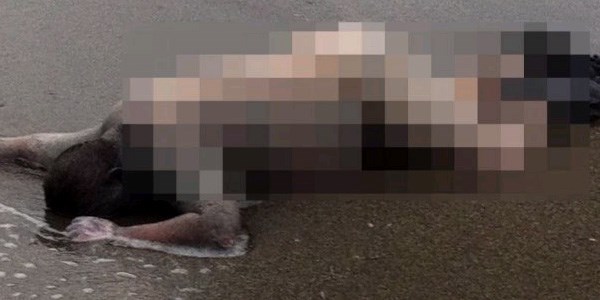 Rodos'un ünlü hocası sel kurbanı