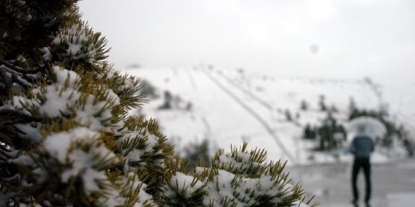 Bolu Dağında kar yağışı