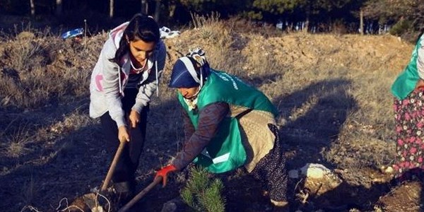 Eskişehir'de ilkokul öğrencileri fidan dikti