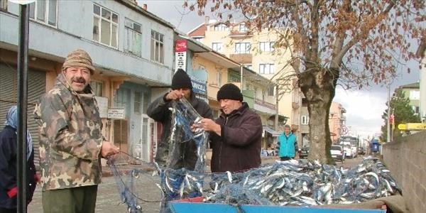 Filyos'ta balıkçılar 1 ton istavrit balığı yakaladı