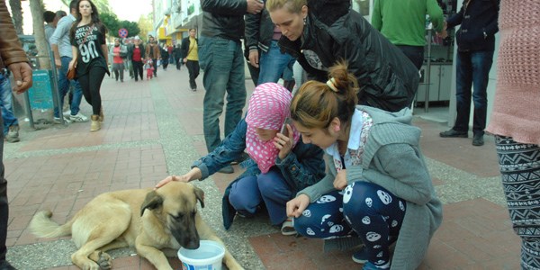 Antalya'da sokak k�pe�ine yard�m tart��mas�