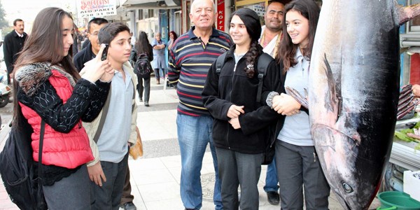 Manisa'da satışa çıkarılan orkinos ilgi odağı oldu