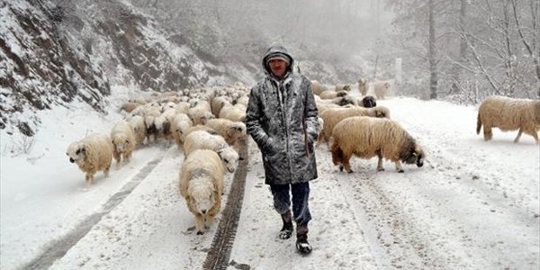Ordu'da etkili kar yağışı