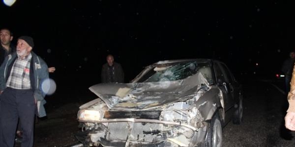 Otomobil yılkı atlarına çarptı: 1 yaralı