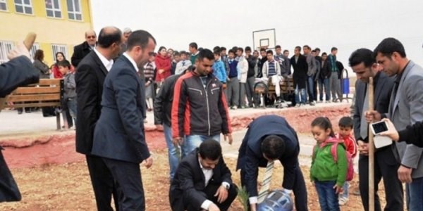 Akçakale'deki okullar yeşillendiriliyor