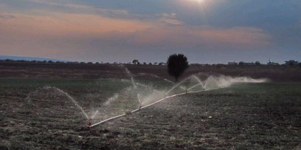 Araban'da kuraklık korkusu yaşanıyor