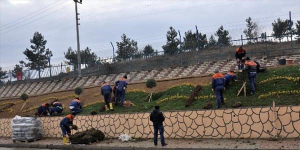 Kastamonu daday yolunda örnek peyzaj çalışması