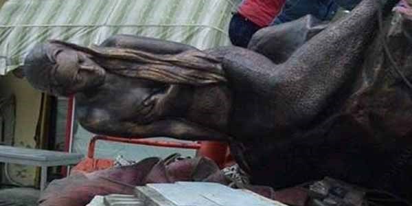 F�rt�na deniz k�z�n� k�y�ya s�r�kledi