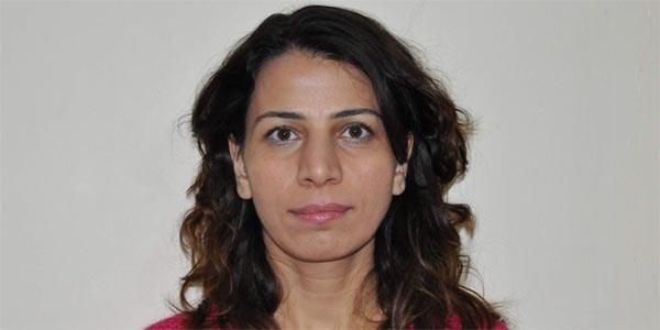 İş ve meslek danışmanı, iş istiyor