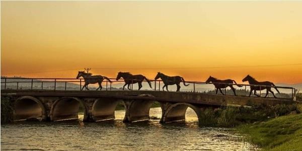 Samsun ulusal fotoğraf yarışması sonuçlandı