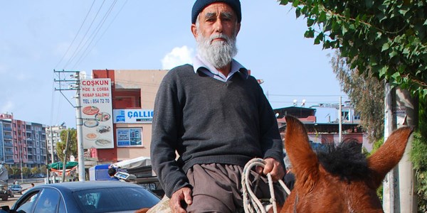 At sırtında bir ömür