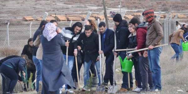 Emet Meslek Yüksekokulu'na fidan
