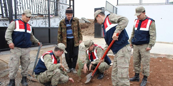 Mehmet�ik, k�y okuluna fidan dikti