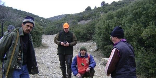 Niğde'de 23 yaban domuzu öldürüldü