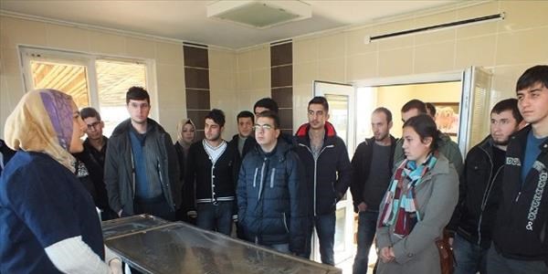 Üniversiteliler hizmetleri gezdi