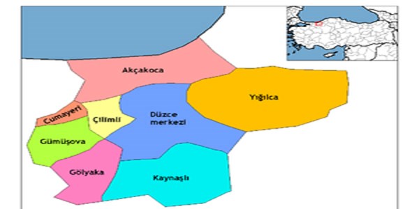 D�zce'nin il olu�unun 14. y�l�