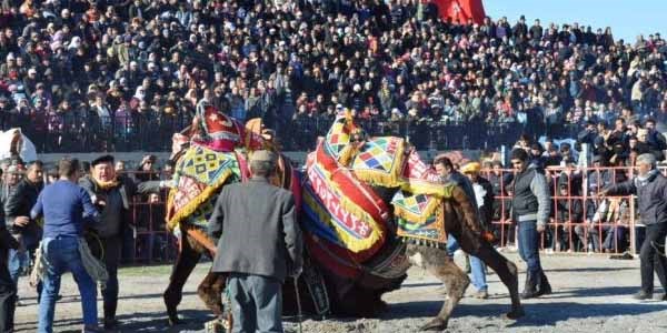 Develer spor yarar�na g�re�ti