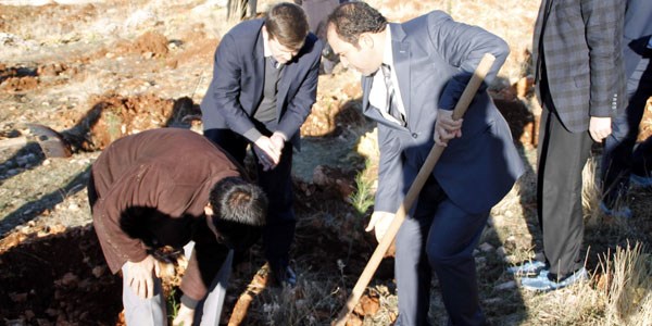 Sağlıkçılar fidan dikti