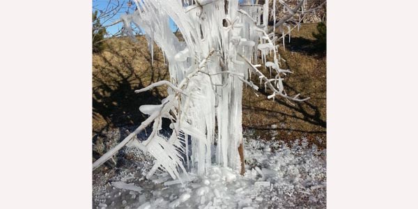 Elbistan buz tuttu