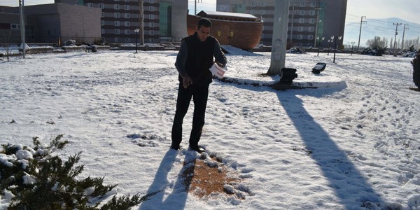 I�d�r'da parklara ku�lar i�in yem b�rak�ld�