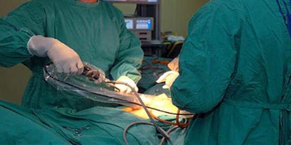 Türk doktor tıp literatüründe