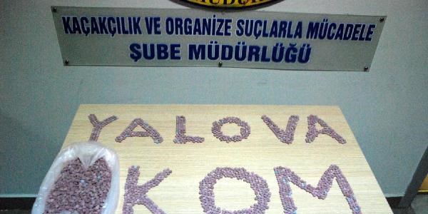 74 yaşındaki yolcu 6 bin ecstasy hapla yakalandı