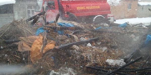 Ahırda çıkan yangında çok sayıda hayvan telef oldu