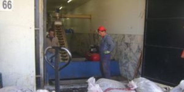 Ayd�n'da zeytin karasuyuna kafes teller �ekilmeye ba�land�