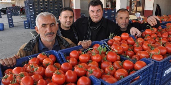 Souk hava domates fiyatlarn ykseltti