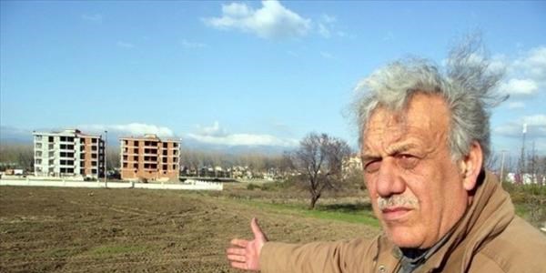 Mandalina ağaçlarını çaldılar